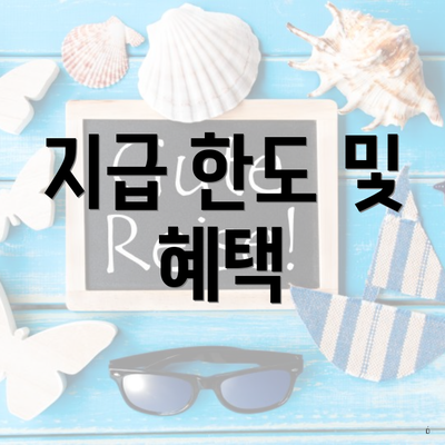 지급 한도 및 혜택