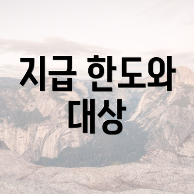 지급 한도와 대상