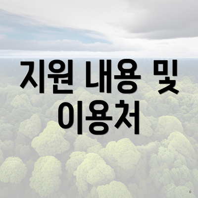 지원 내용 및 이용처