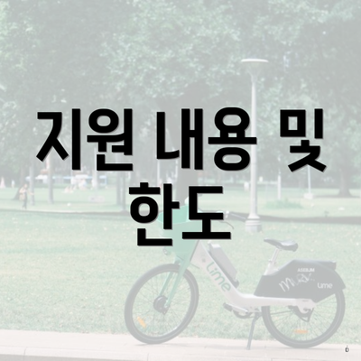 지원 내용 및 한도