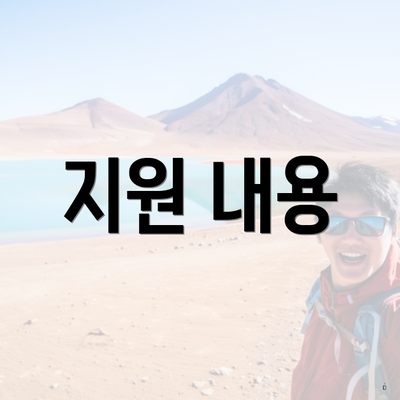 지원 내용