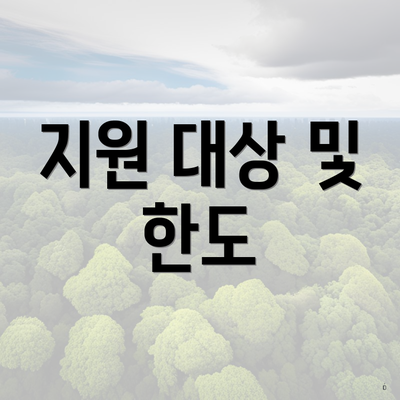 지원 대상 및 한도