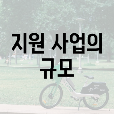 지원 사업의 규모