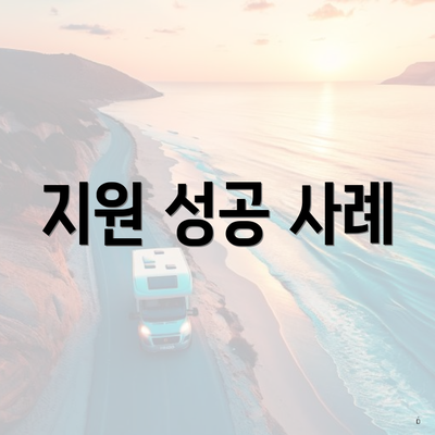지원 성공 사례