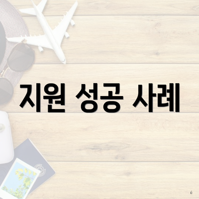 지원 성공 사례