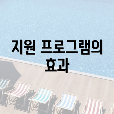 지원 프로그램의 효과