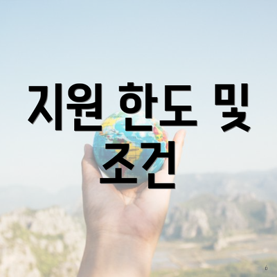 지원 한도 및 조건