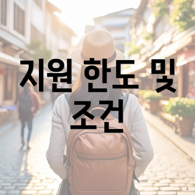 지원 한도 및 조건
