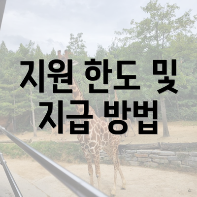 지원 한도 및 지급 방법