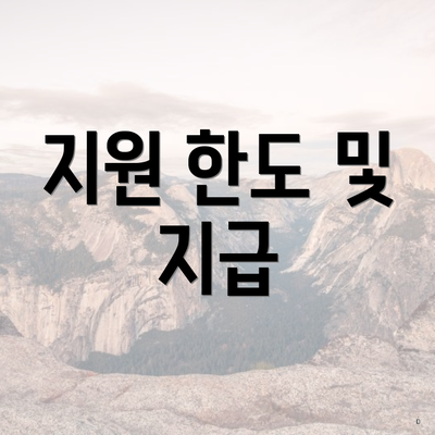지원 한도 및 지급
