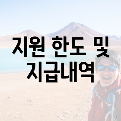 지원 한도 및 지급내역