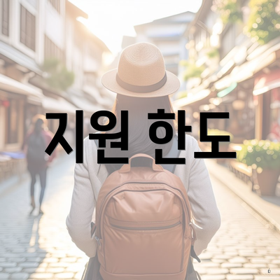 지원 한도