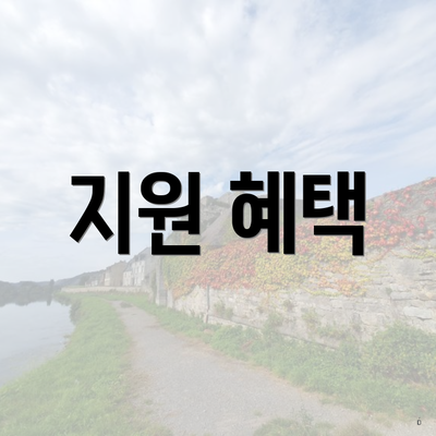 지원 혜택
