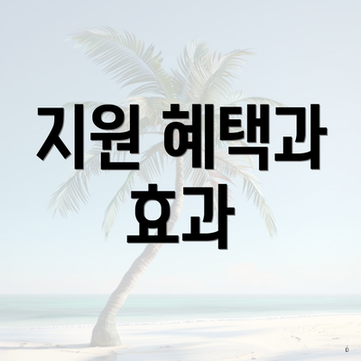 지원 혜택과 효과