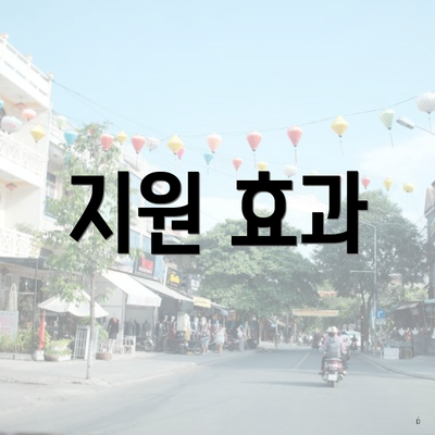지원 효과