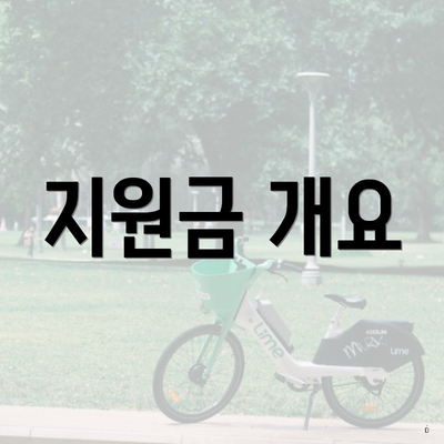 지원금 개요