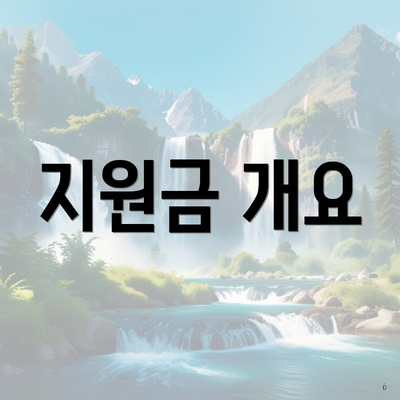 지원금 개요