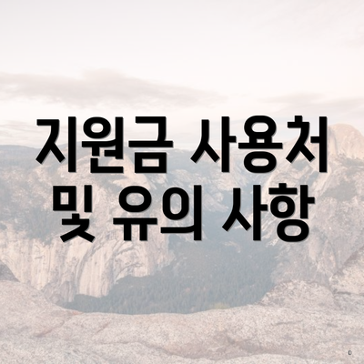 지원금 사용처 및 유의 사항