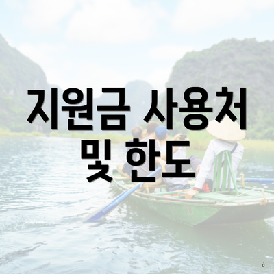 지원금 사용처 및 한도