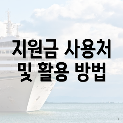 지원금 사용처 및 활용 방법
