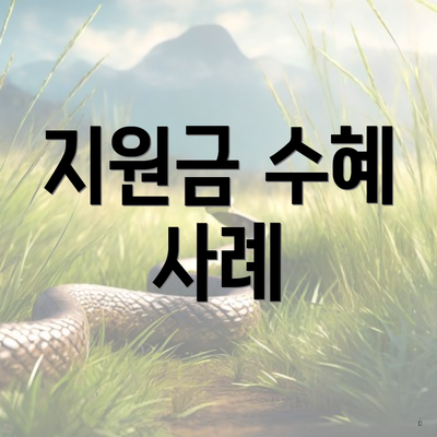 지원금 수혜 사례