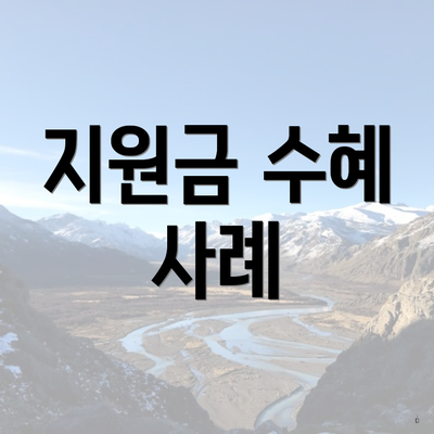 지원금 수혜 사례