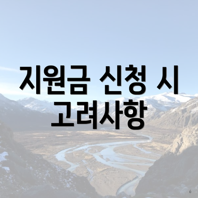 지원금 신청 시 고려사항