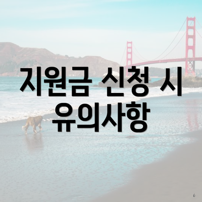지원금 신청 시 유의사항