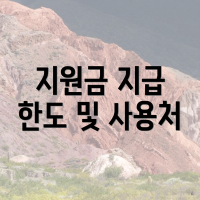 지원금 지급 한도 및 사용처