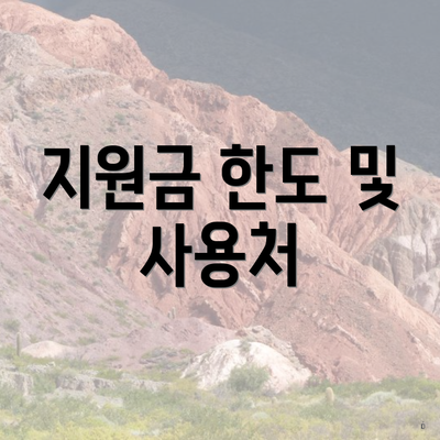 지원금 한도 및 사용처
