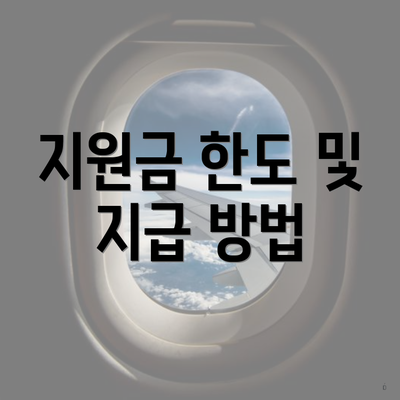 지원금 한도 및 지급 방법