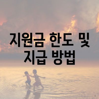 지원금 한도 및 지급 방법