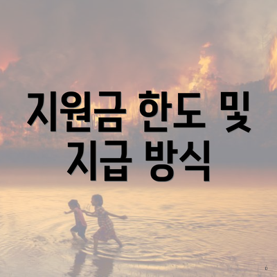 지원금 한도 및 지급 방식