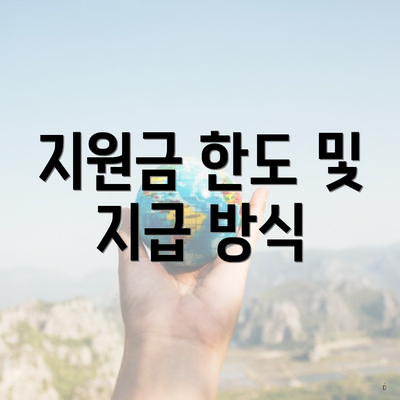 지원금 한도 및 지급 방식