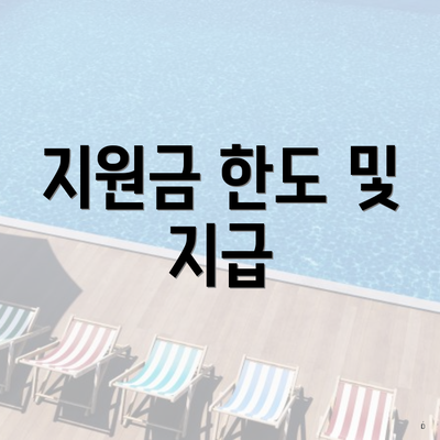 지원금 한도 및 지급