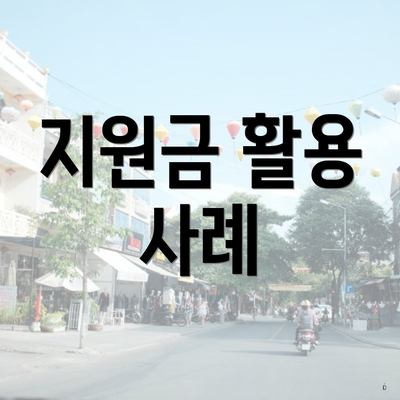지원금 활용 사례