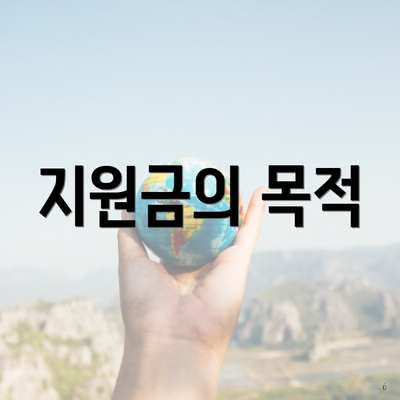 지원금의 목적