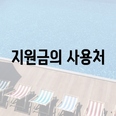 지원금의 사용처