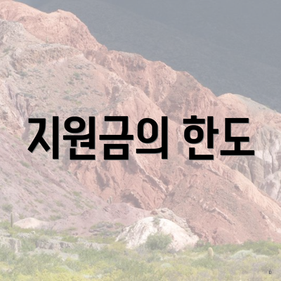 지원금의 한도