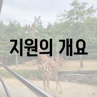 지원의 개요