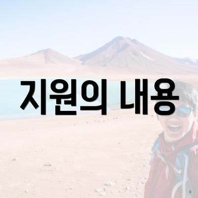 지원의 내용