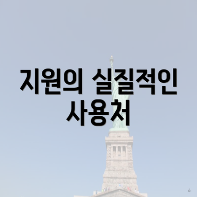 지원의 실질적인 사용처