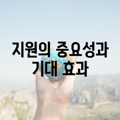 지원의 중요성과 기대 효과