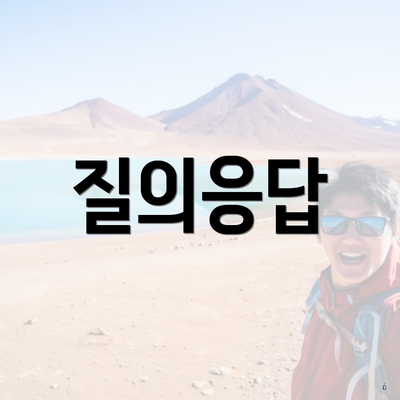 질의응답