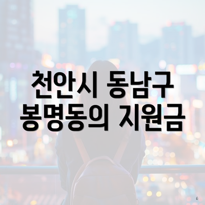 천안시 동남구 봉명동의 지원금