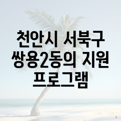 천안시 서북구 쌍용2동의 지원 프로그램