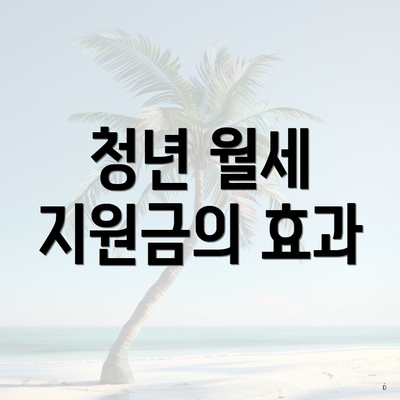 청년 월세 지원금의 효과