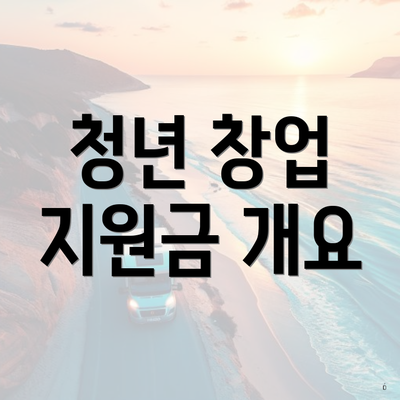 청년 창업 지원금 개요