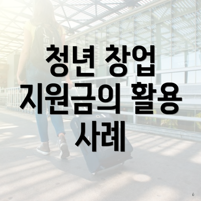 청년 창업 지원금의 활용 사례
