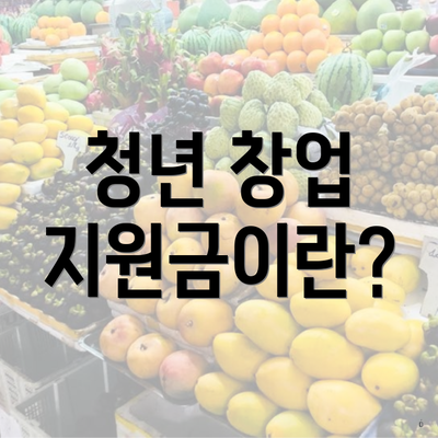 청년 창업 지원금이란?